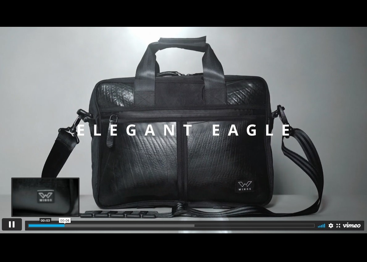 Ecowings elegant eagle video
